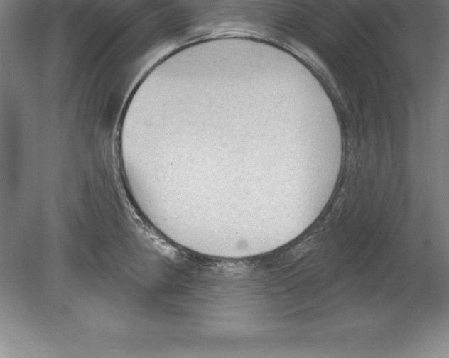 X0000079581190200612301359