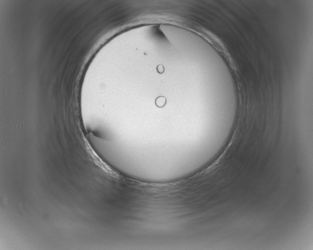 X0000079581192200612301359