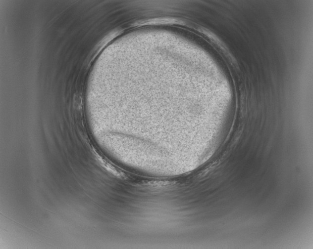 X0000079581193200612301359