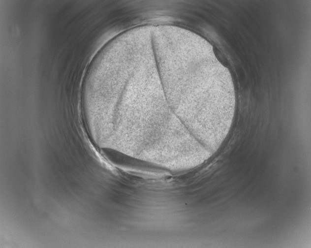 X0000079581194200612301359