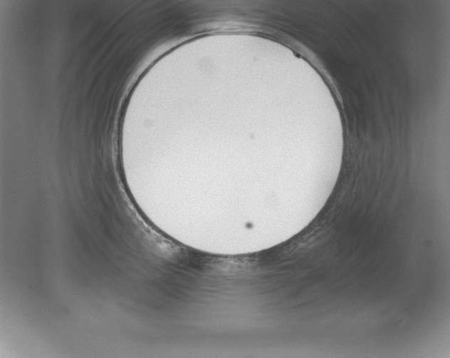 X0000079581195200612301359