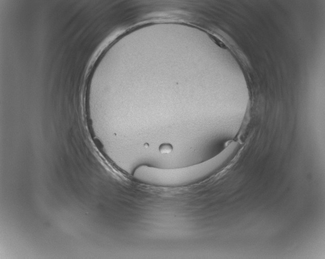 X0000079581196200612301359