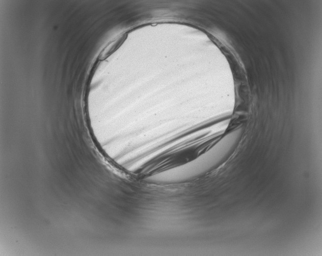 X0000079581197200612301358