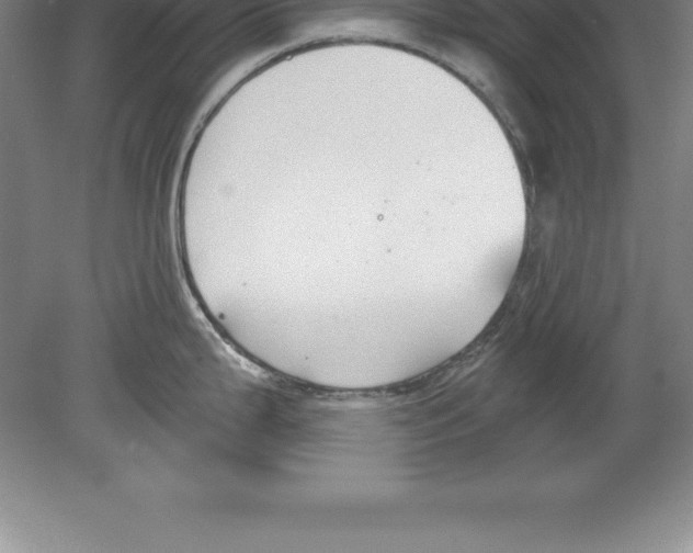 X0000079581199200612301358