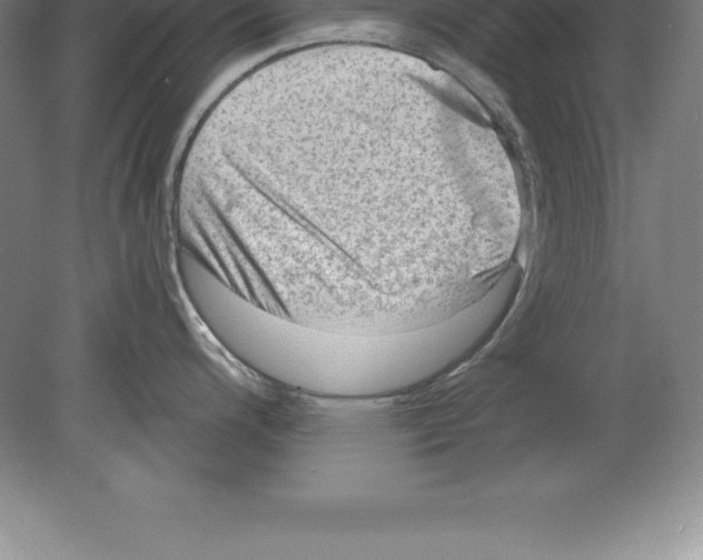 X0000079581200200612301358