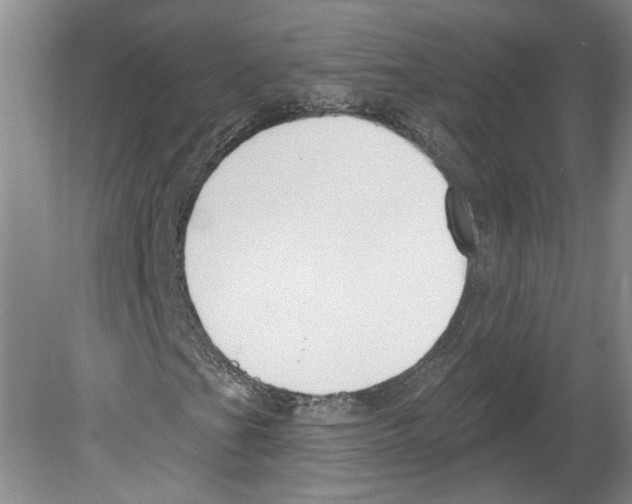 X0000079581201200612301358