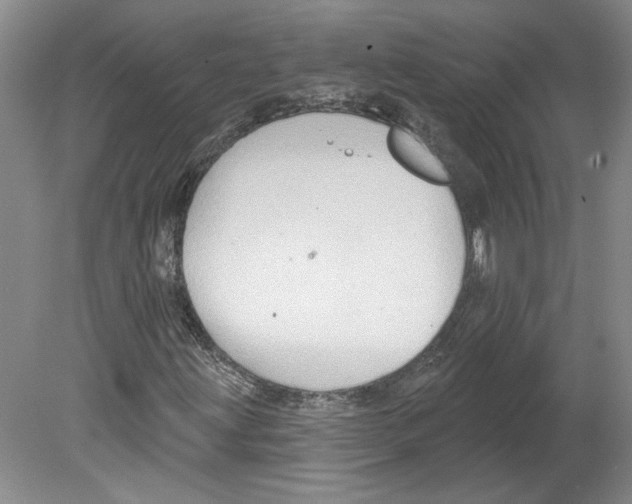 X0000079581203200612301358