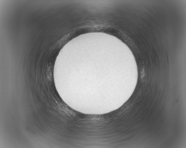 X0000079581204200612301358