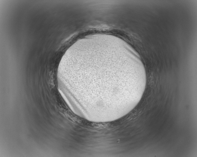 X0000079581205200612301358