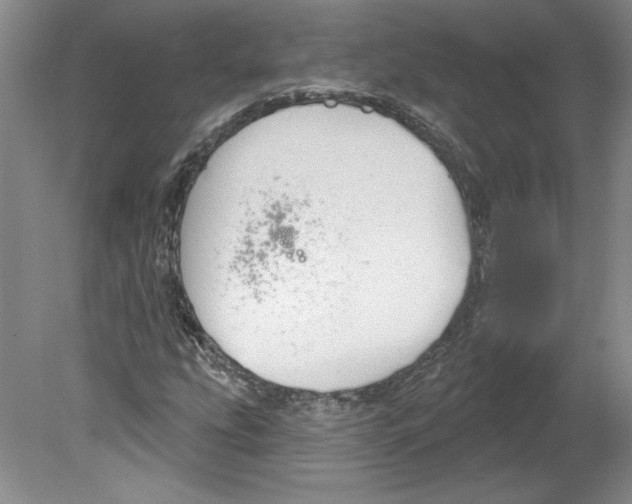 X0000079581207200612301358