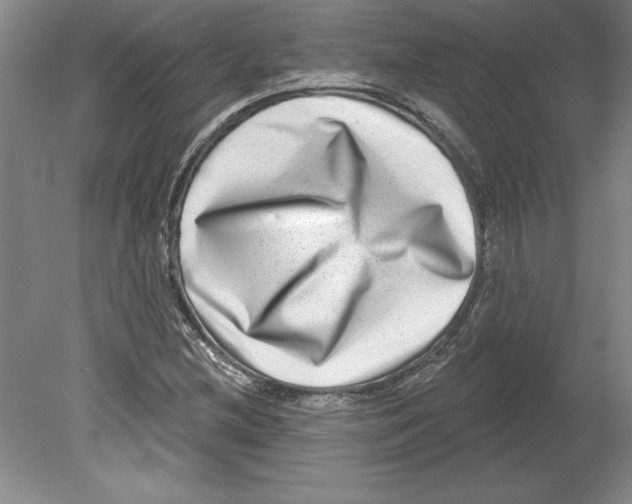 X0000079581212200612301358