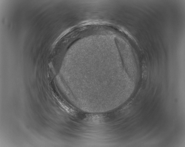 X0000079581213200612301358