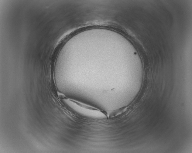 X0000079581214200612301358