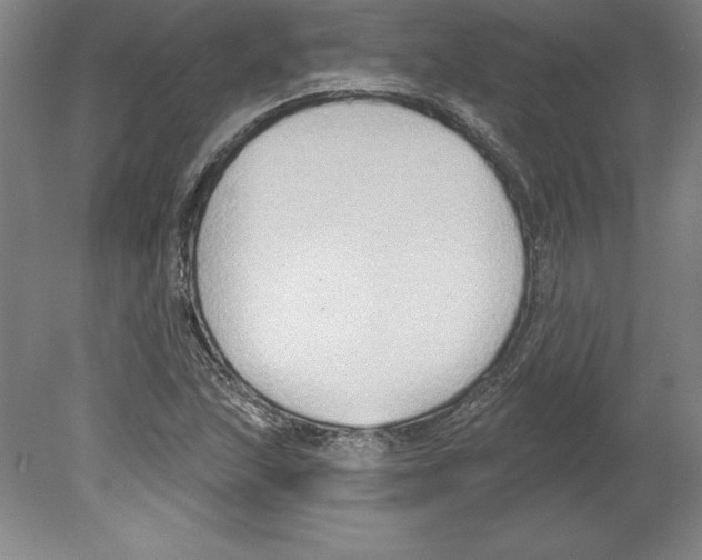 X0000079581215200612301358