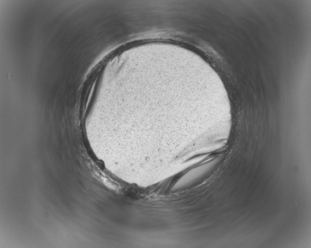 X0000079581216200612301358