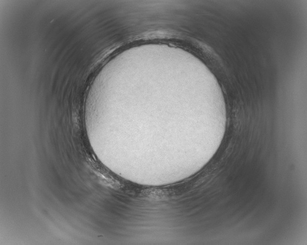 X0000079581217200612301358