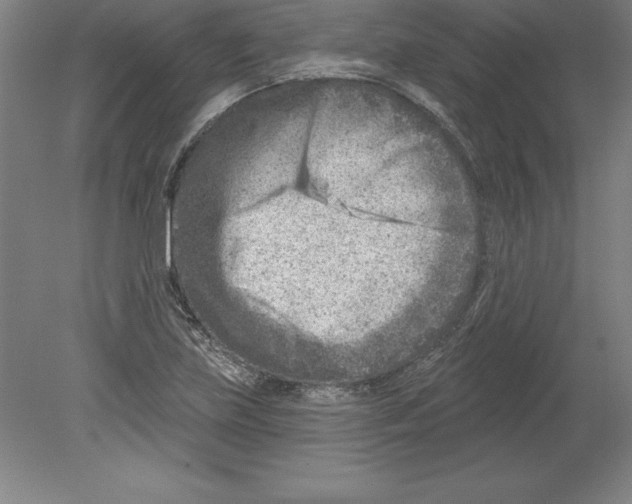 X0000079581219200612301358