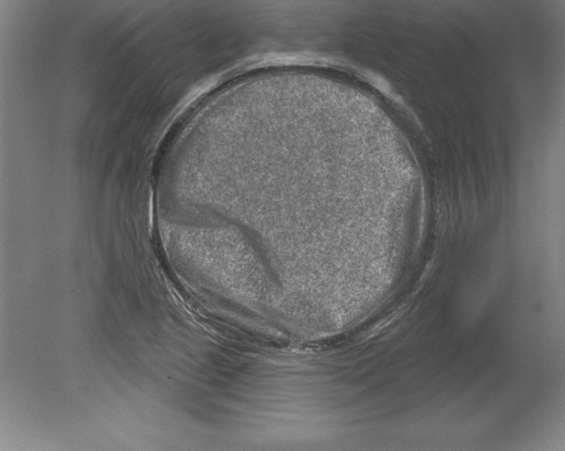 X0000079581221200612301358