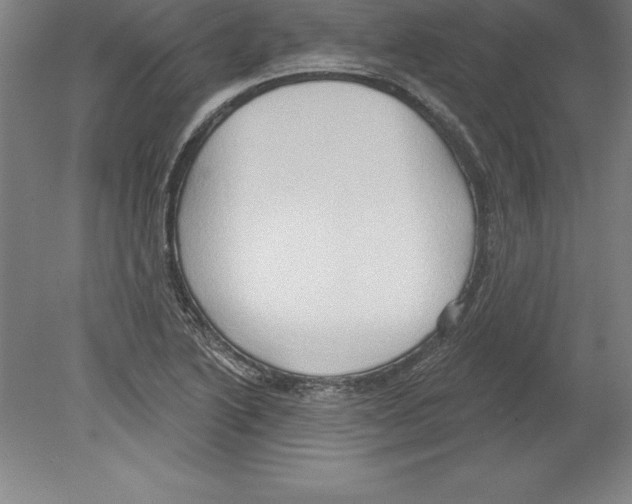 X0000079581222200612301358