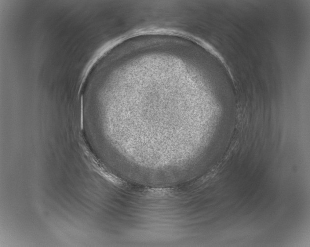 X0000079581223200612301358