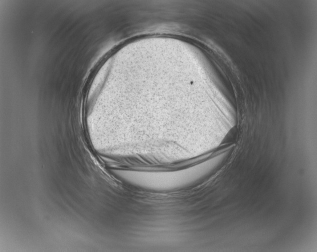 X0000079581224200612301358