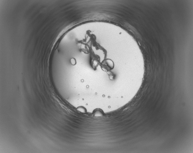 X0000079581226200612301358