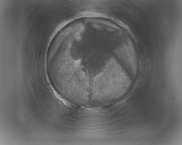 X0000079581231200612301358