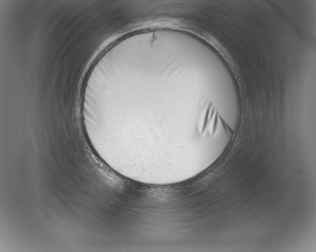 X0000079581232200612301358