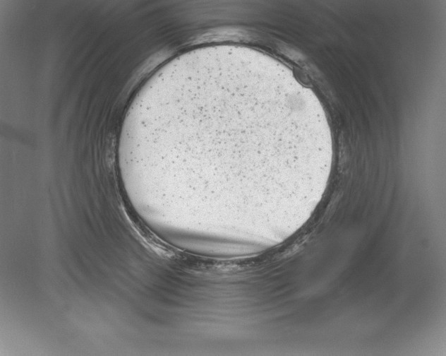 X0000079581233200612301358