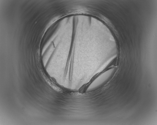 X0000079581234200612301358