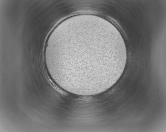 X0000079581236200612301358