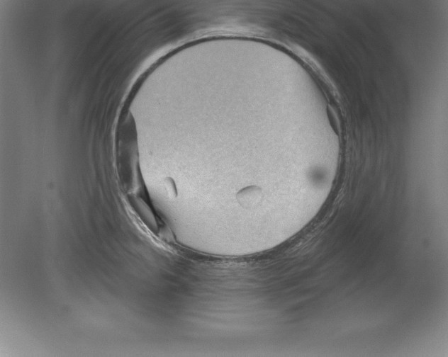 X0000079581238200612301358