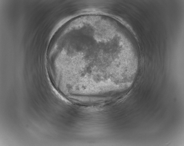 X0000079581239200612301358