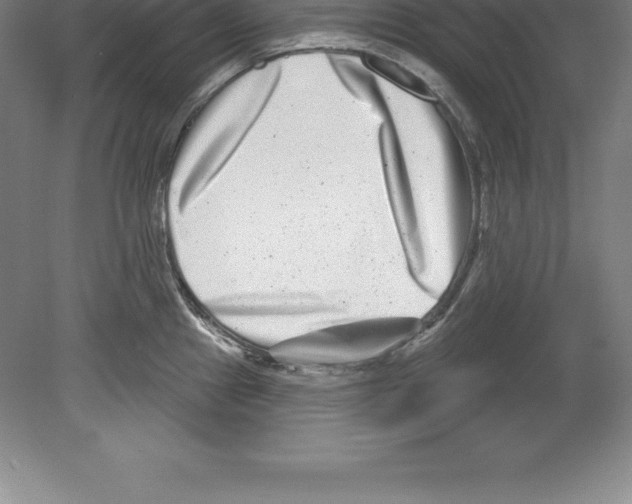 X0000079581241200612301358