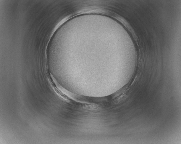 X0000079581242200612301358