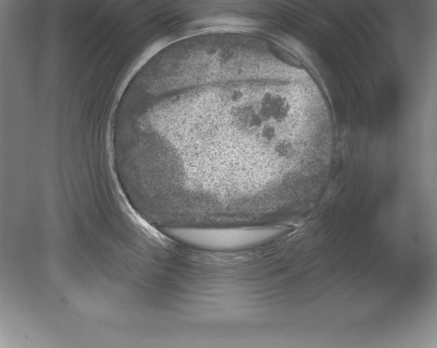 X0000079581243200612301358