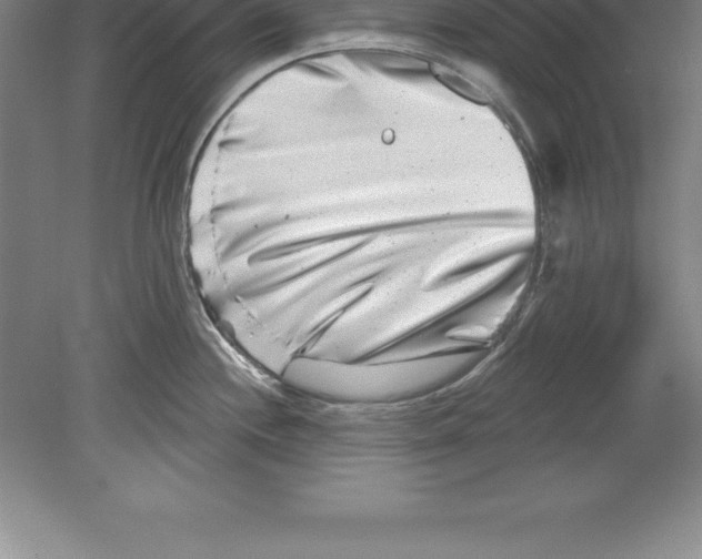 X0000079581244200612301358