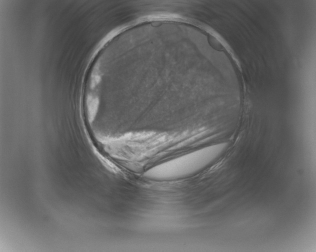 X0000079581245200612301358