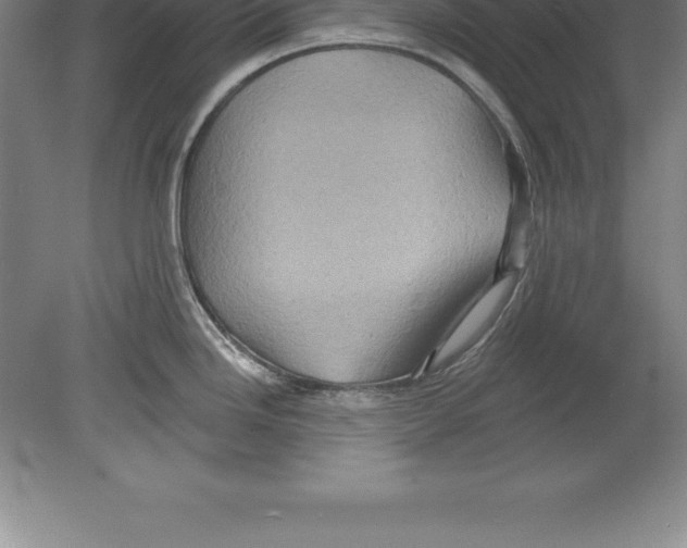 X0000079581246200612301358