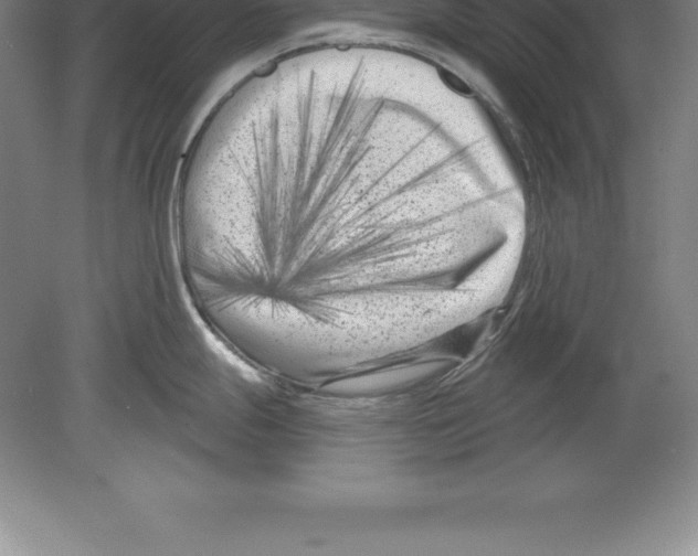 X0000079581247200612301358