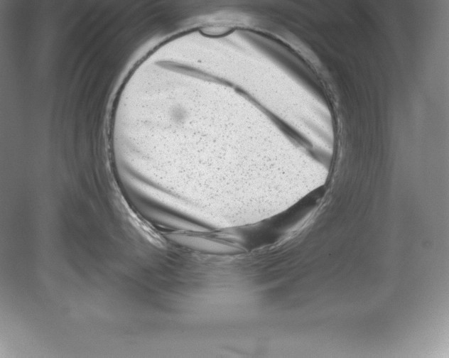 X0000079581248200612301358