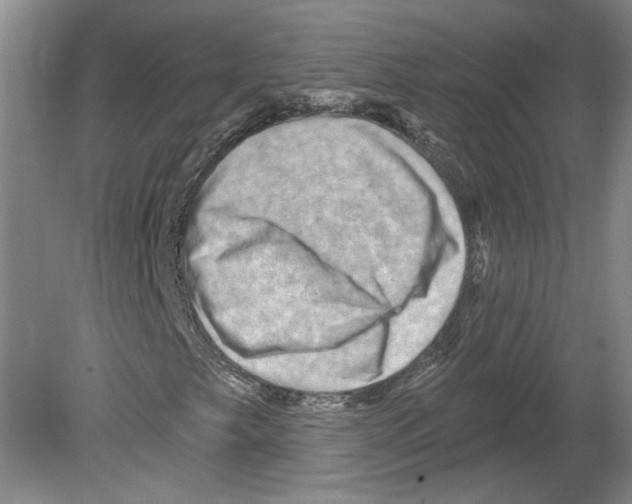 X0000079581249200612301358