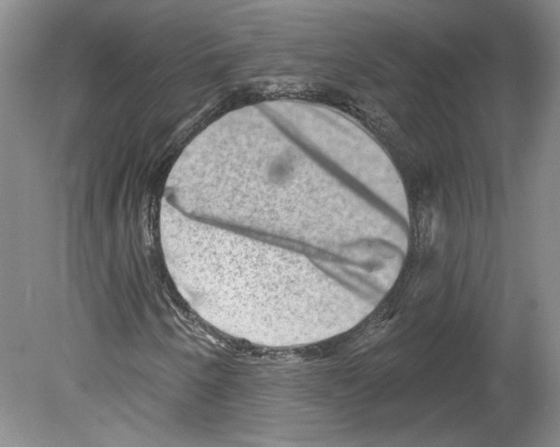 X0000079581250200612301358