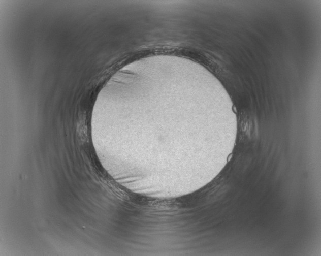 X0000079581252200612301358