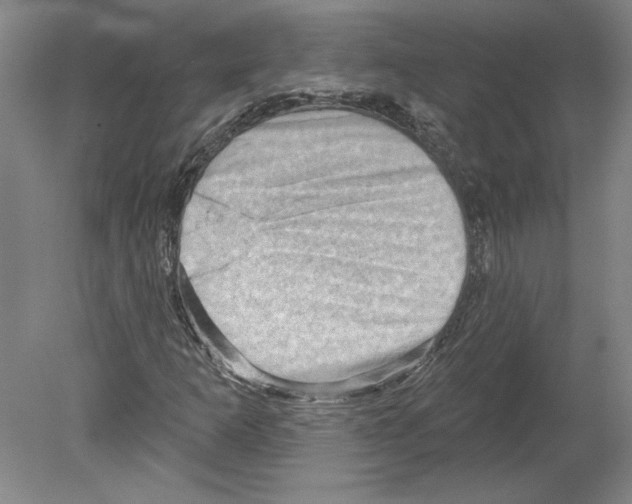 X0000079581253200612301358