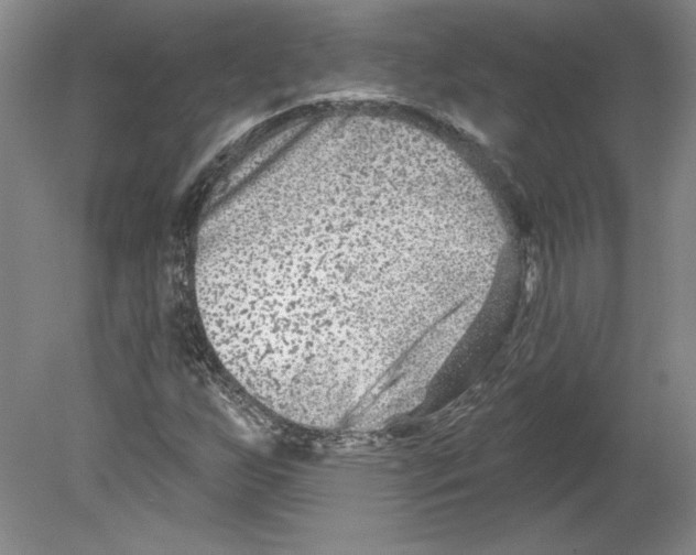 X0000079581255200612301358