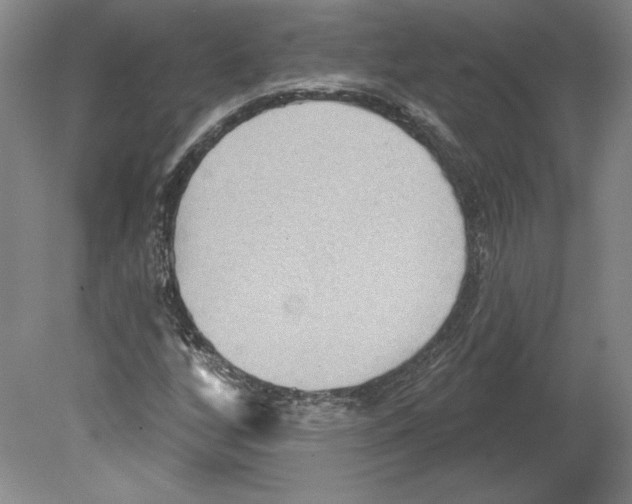 X0000079581256200612301357