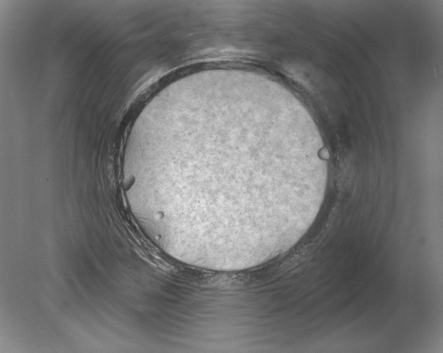 X0000079581259200612301357