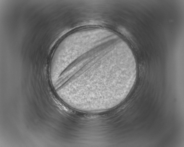 X0000079581260200612301357