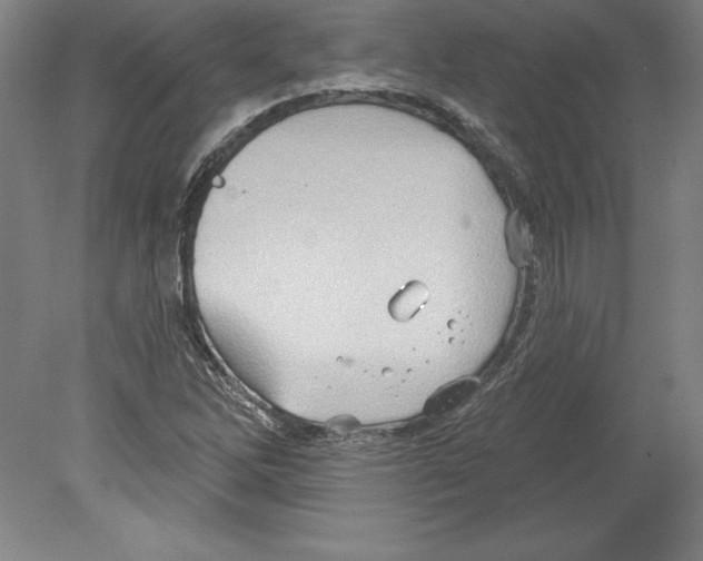 X0000079581262200612301357